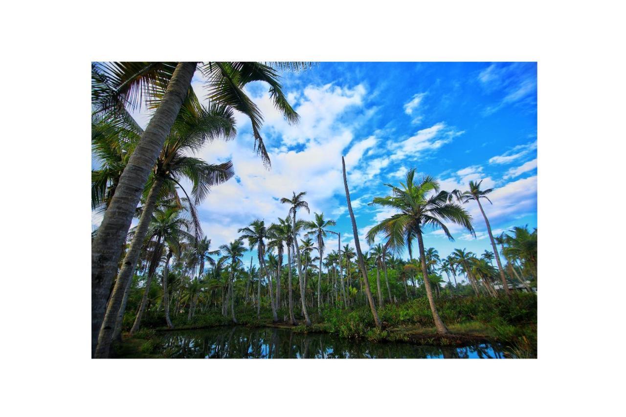 Munroe Paradise Apartment Munroe Island Bagian luar foto